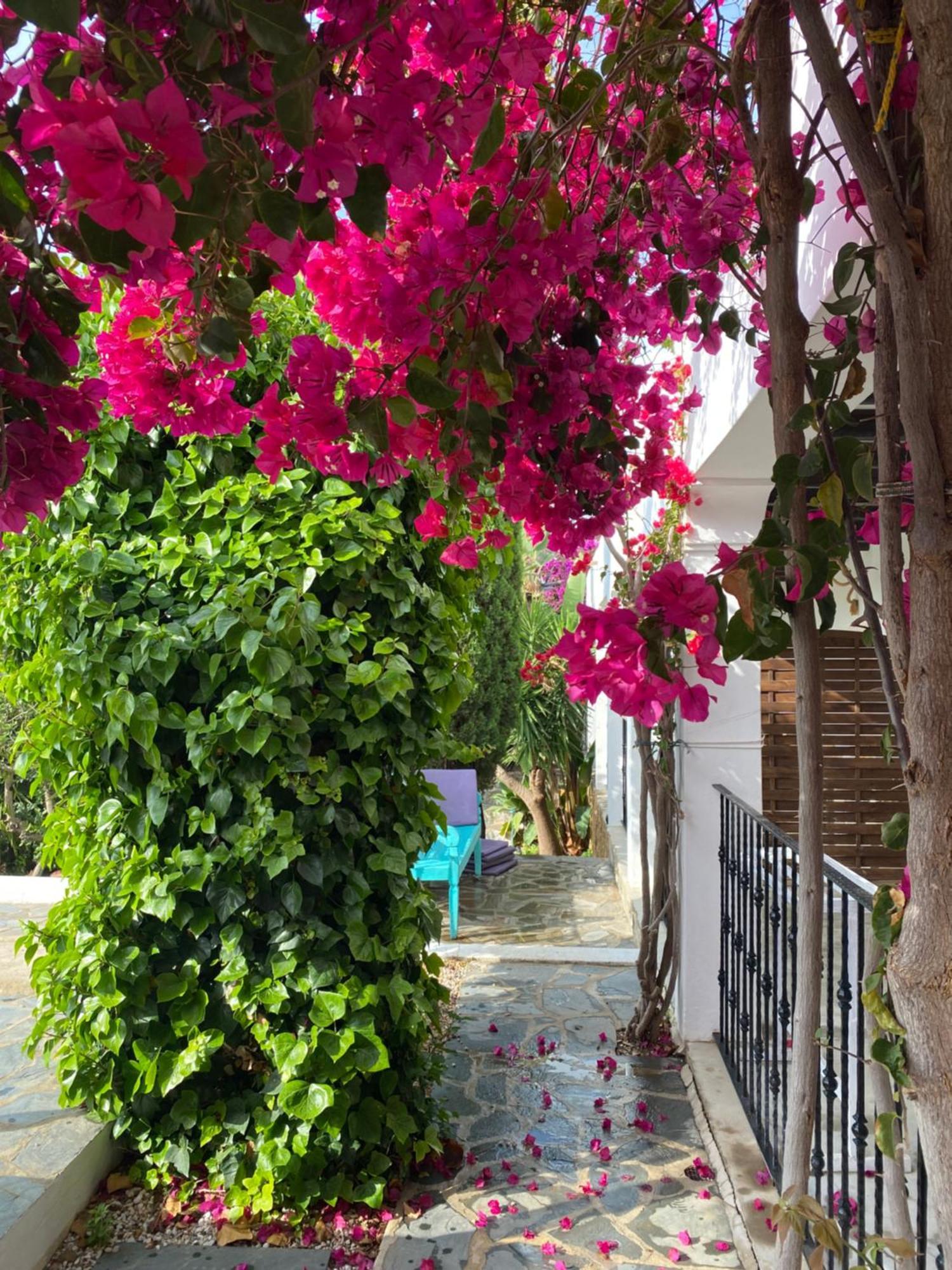 Buenavista Suites Hotel Boutique Santa Eulària des Riu Εξωτερικό φωτογραφία